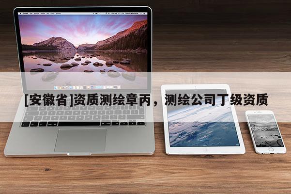 [安徽省]資質(zhì)測繪章丙，測繪公司丁級資質(zhì)