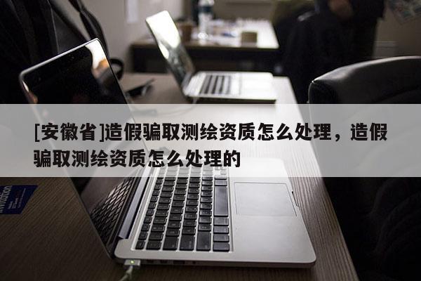 [安徽省]造假騙取測(cè)繪資質(zhì)怎么處理，造假騙取測(cè)繪資質(zhì)怎么處理的