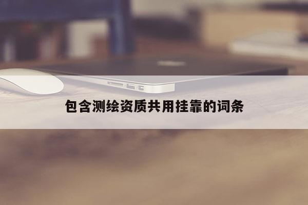 包含測繪資質(zhì)共用掛靠的詞條