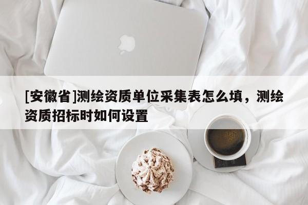 [安徽省]測繪資質(zhì)單位采集表怎么填，測繪資質(zhì)招標(biāo)時如何設(shè)置