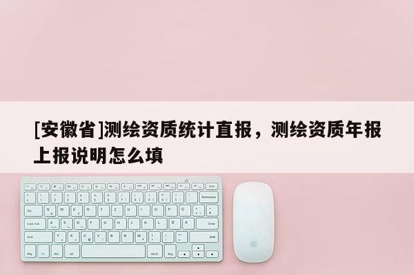 [安徽省]測繪資質(zhì)統(tǒng)計直報，測繪資質(zhì)年報上報說明怎么填