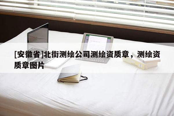 [安徽省]北街測繪公司測繪資質(zhì)章，測繪資質(zhì)章圖片